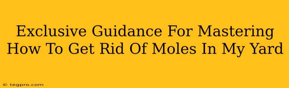 Exclusive Guidance For Mastering How To Get Rid Of Moles In My Yard