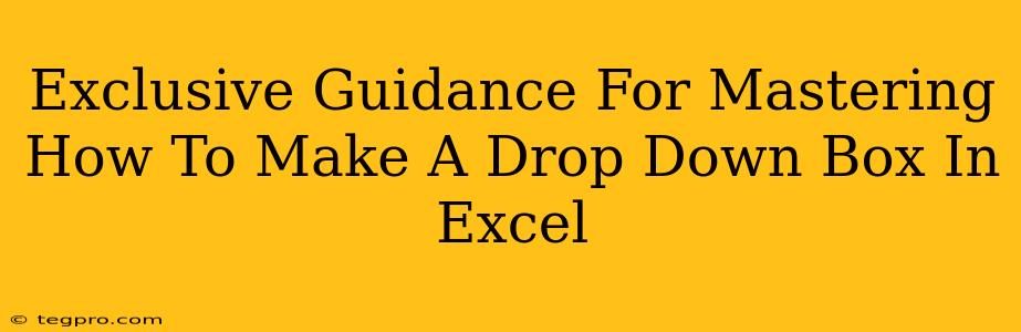 Exclusive Guidance For Mastering How To Make A Drop Down Box In Excel