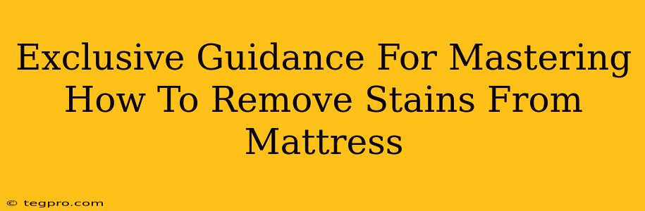 Exclusive Guidance For Mastering How To Remove Stains From Mattress