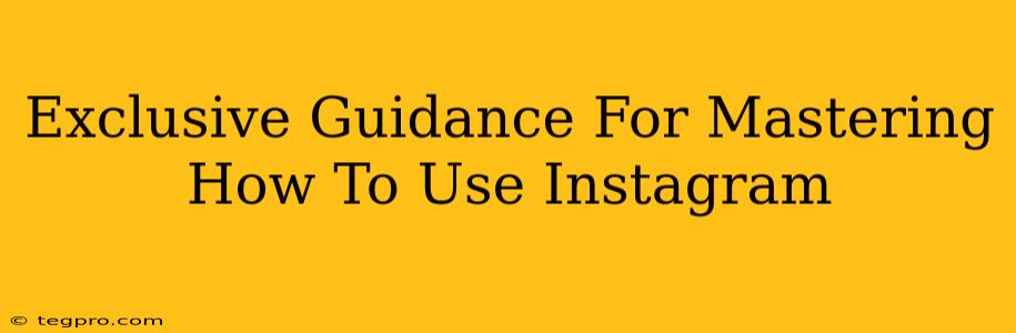 Exclusive Guidance For Mastering How To Use Instagram