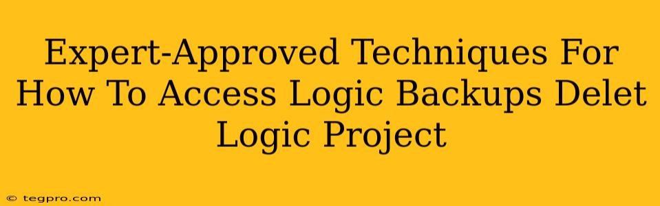 Expert-Approved Techniques For How To Access Logic Backups Delet Logic Project