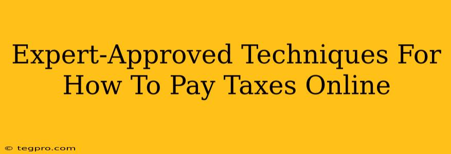 Expert-Approved Techniques For How To Pay Taxes Online