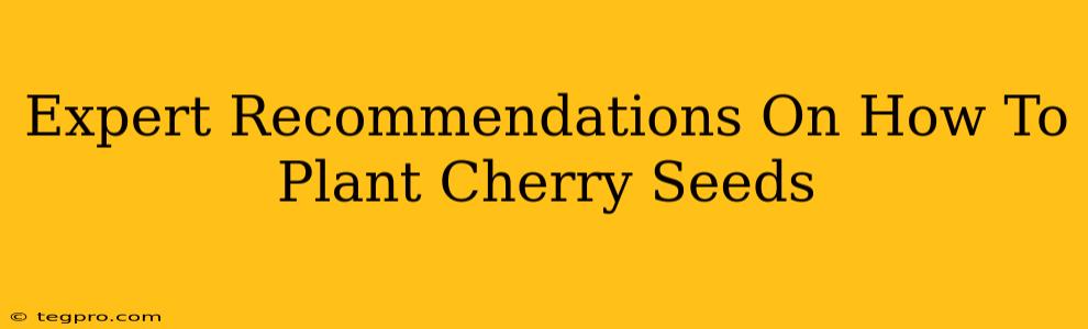 Expert Recommendations On How To Plant Cherry Seeds