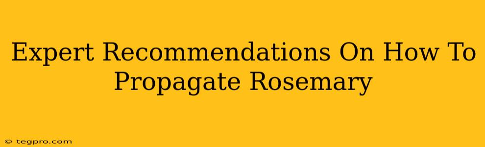 Expert Recommendations On How To Propagate Rosemary