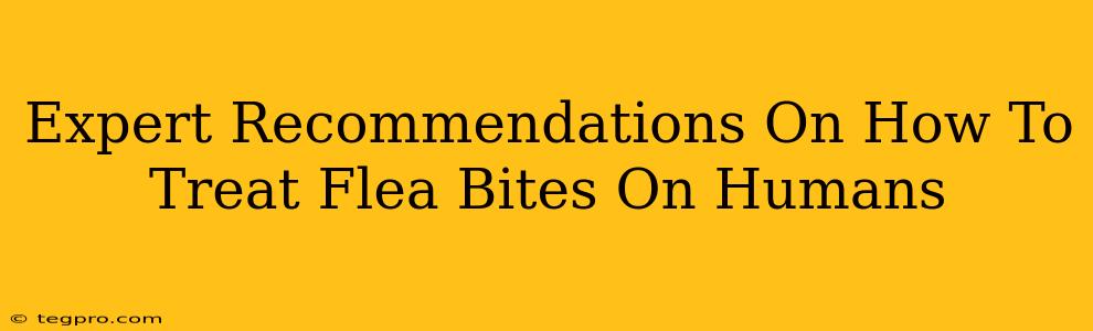 Expert Recommendations On How To Treat Flea Bites On Humans