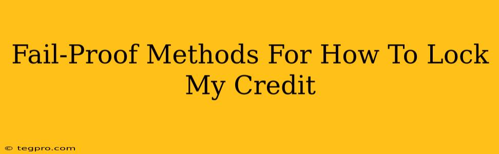 Fail-Proof Methods For How To Lock My Credit