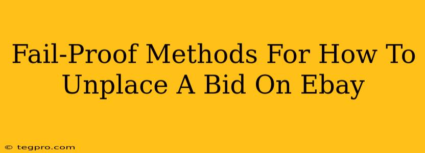 Fail-Proof Methods For How To Unplace A Bid On Ebay