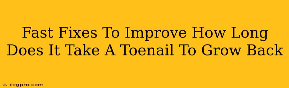 Fast Fixes To Improve How Long Does It Take A Toenail To Grow Back