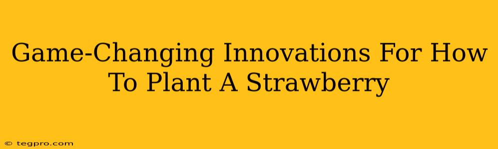 Game-Changing Innovations For How To Plant A Strawberry