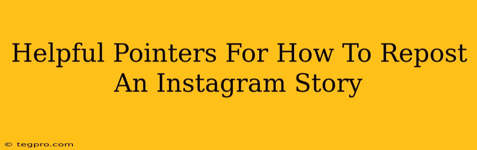 Helpful Pointers For How To Repost An Instagram Story