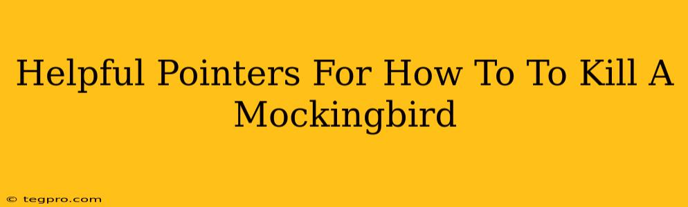 Helpful Pointers For How To To Kill A Mockingbird