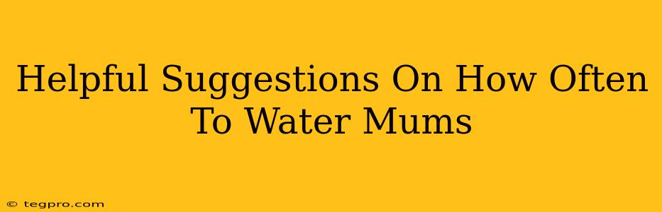 Helpful Suggestions On How Often To Water Mums