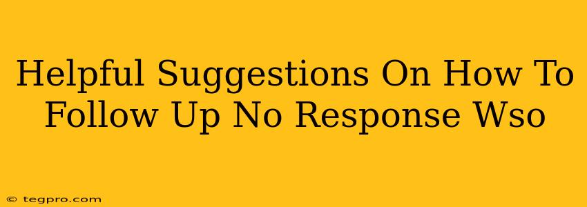 Helpful Suggestions On How To Follow Up No Response Wso