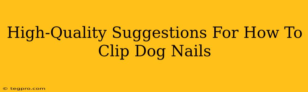 High-Quality Suggestions For How To Clip Dog Nails