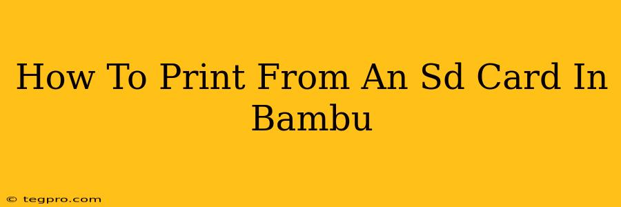 How To Print From An Sd Card In Bambu