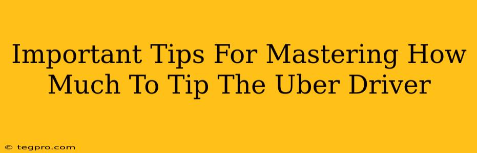 Important Tips For Mastering How Much To Tip The Uber Driver