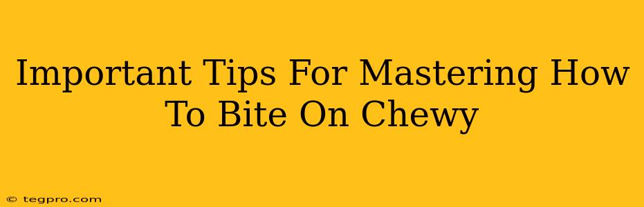 Important Tips For Mastering How To Bite On Chewy