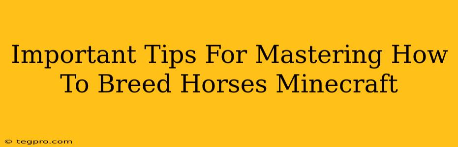 Important Tips For Mastering How To Breed Horses Minecraft