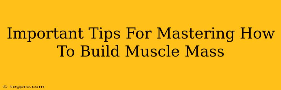 Important Tips For Mastering How To Build Muscle Mass