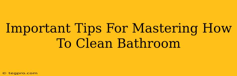 Important Tips For Mastering How To Clean Bathroom