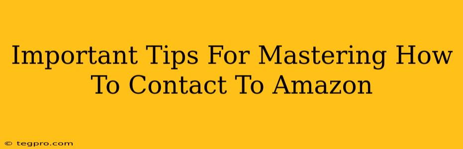 Important Tips For Mastering How To Contact To Amazon