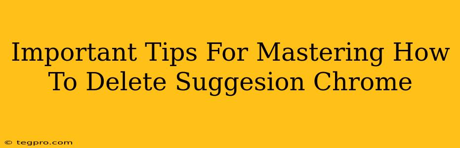 Important Tips For Mastering How To Delete Suggesion Chrome