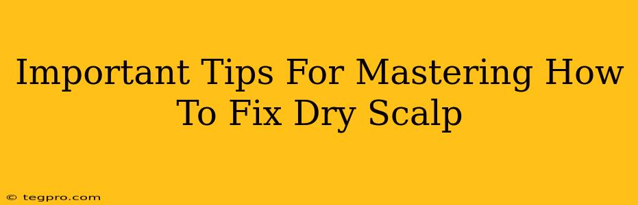 Important Tips For Mastering How To Fix Dry Scalp