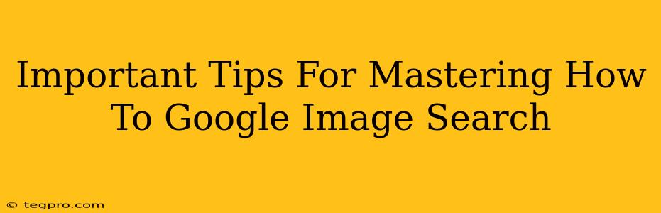 Important Tips For Mastering How To Google Image Search