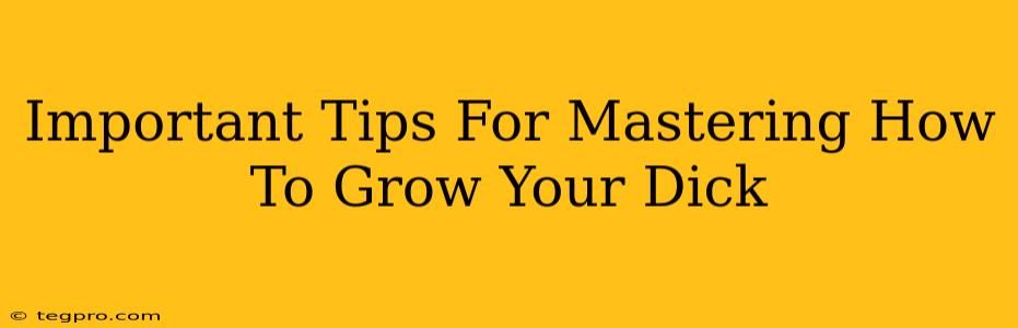 Important Tips For Mastering How To Grow Your Dick