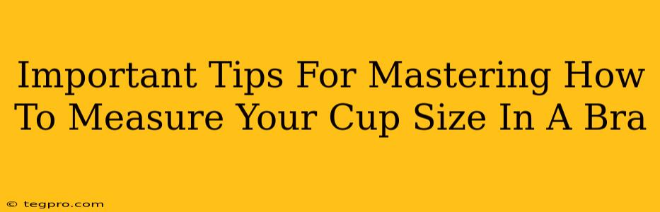 Important Tips For Mastering How To Measure Your Cup Size In A Bra