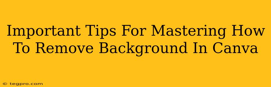 Important Tips For Mastering How To Remove Background In Canva