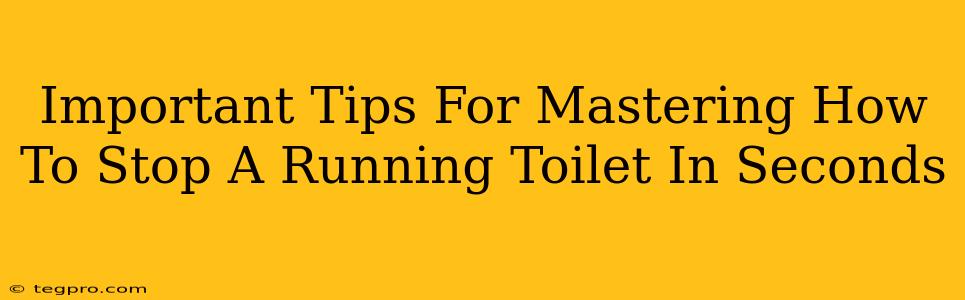 Important Tips For Mastering How To Stop A Running Toilet In Seconds