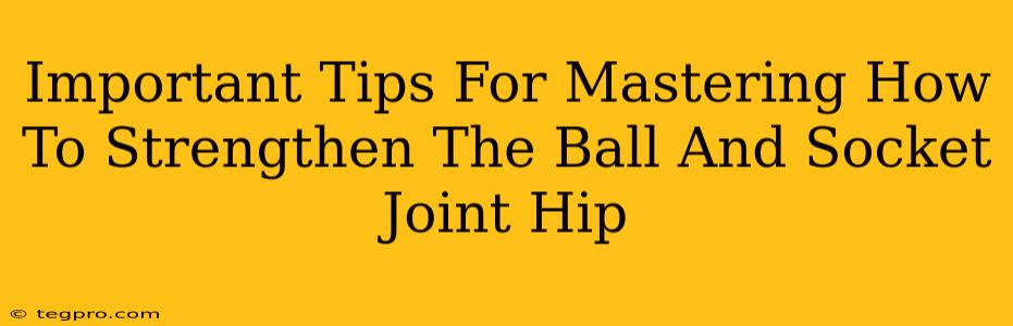 Important Tips For Mastering How To Strengthen The Ball And Socket Joint Hip