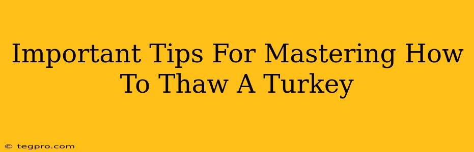 Important Tips For Mastering How To Thaw A Turkey