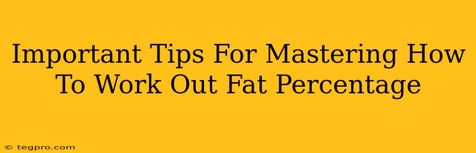 Important Tips For Mastering How To Work Out Fat Percentage