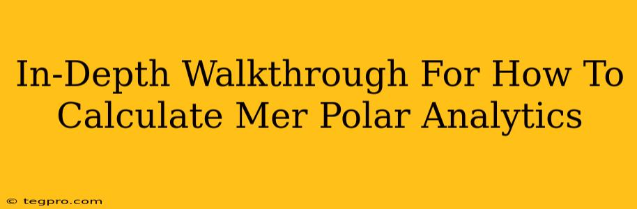 In-Depth Walkthrough For How To Calculate Mer Polar Analytics