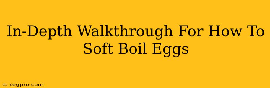 In-Depth Walkthrough For How To Soft Boil Eggs