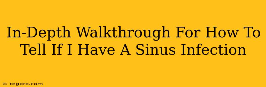 In-Depth Walkthrough For How To Tell If I Have A Sinus Infection