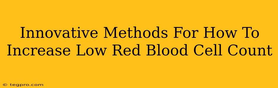 Innovative Methods For How To Increase Low Red Blood Cell Count