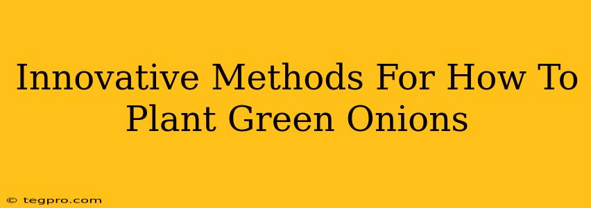 Innovative Methods For How To Plant Green Onions