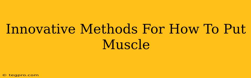 Innovative Methods For How To Put Muscle