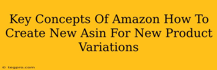 Key Concepts Of Amazon How To Create New Asin For New Product Variations