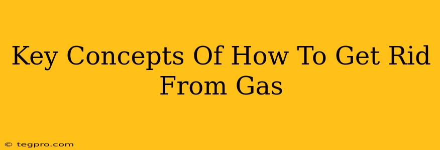 Key Concepts Of How To Get Rid From Gas