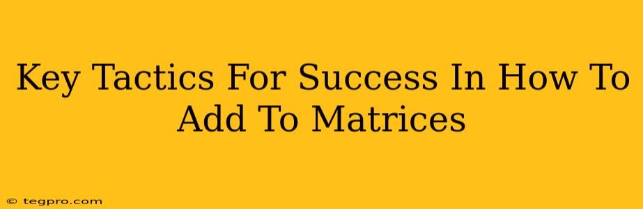 Key Tactics For Success In How To Add To Matrices