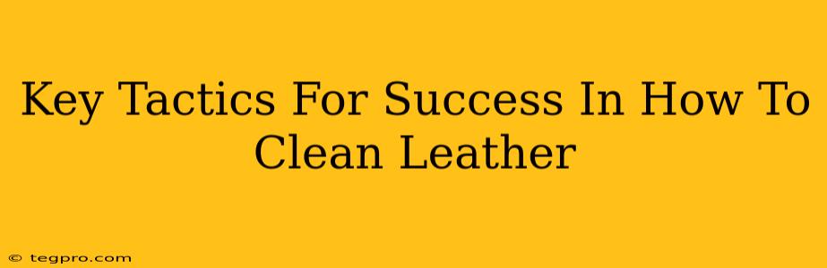 Key Tactics For Success In How To Clean Leather