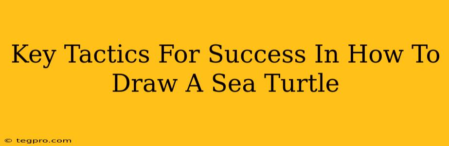 Key Tactics For Success In How To Draw A Sea Turtle