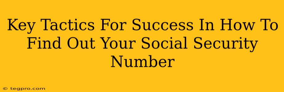 Key Tactics For Success In How To Find Out Your Social Security Number