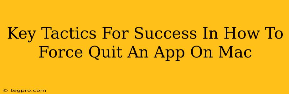 Key Tactics For Success In How To Force Quit An App On Mac