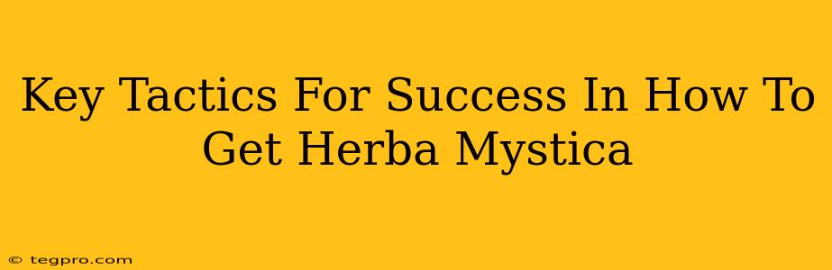 Key Tactics For Success In How To Get Herba Mystica