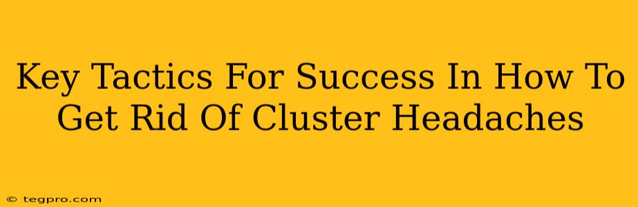 Key Tactics For Success In How To Get Rid Of Cluster Headaches